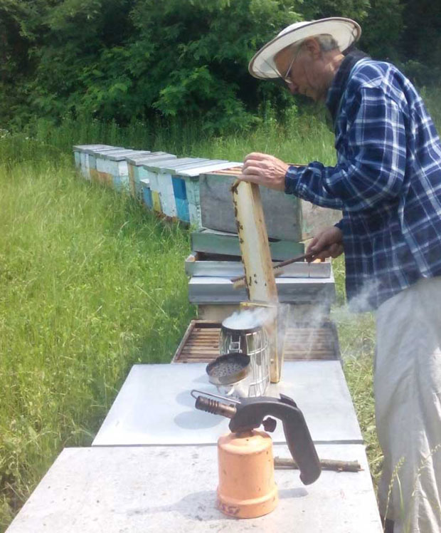 Манастире окитио кошницама